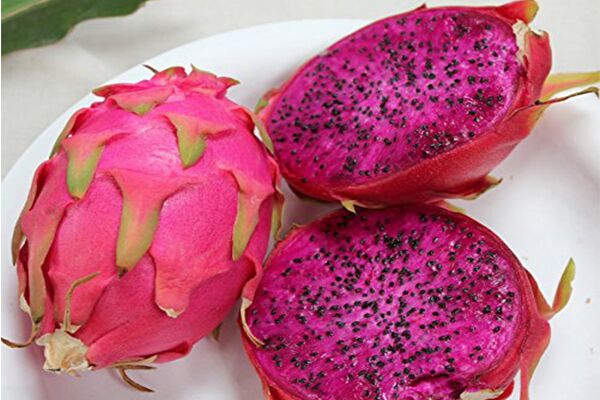 DragonFruits3