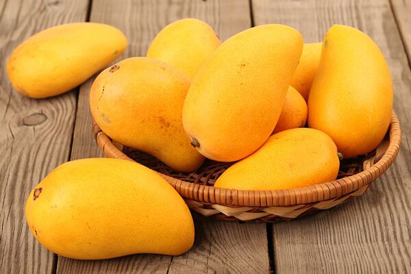 Mango3